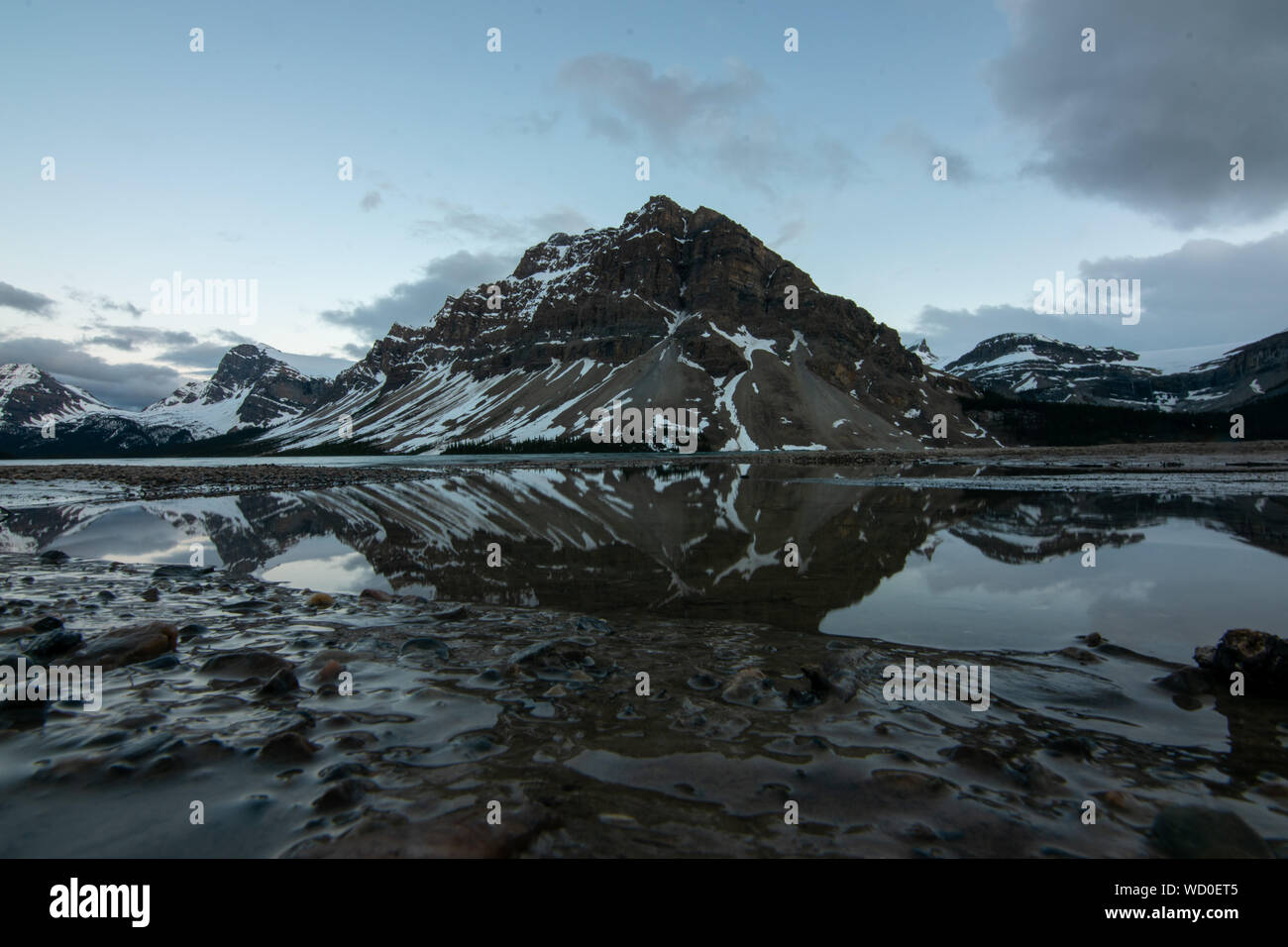 La riflessione di Bow Lake Canada Foto Stock