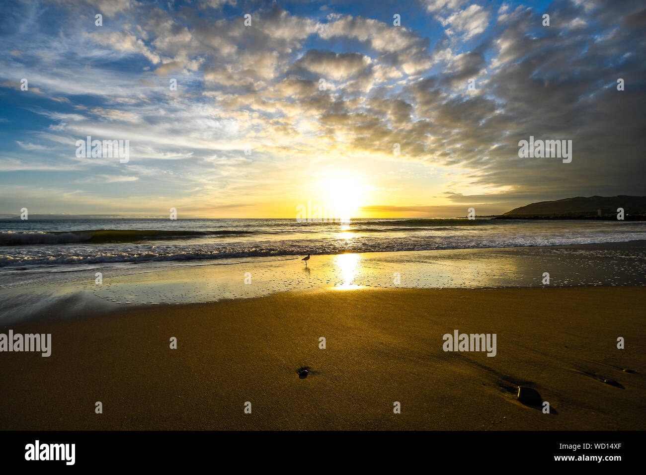 Tramonti presso la spiaggia di Ventura, California Foto Stock
