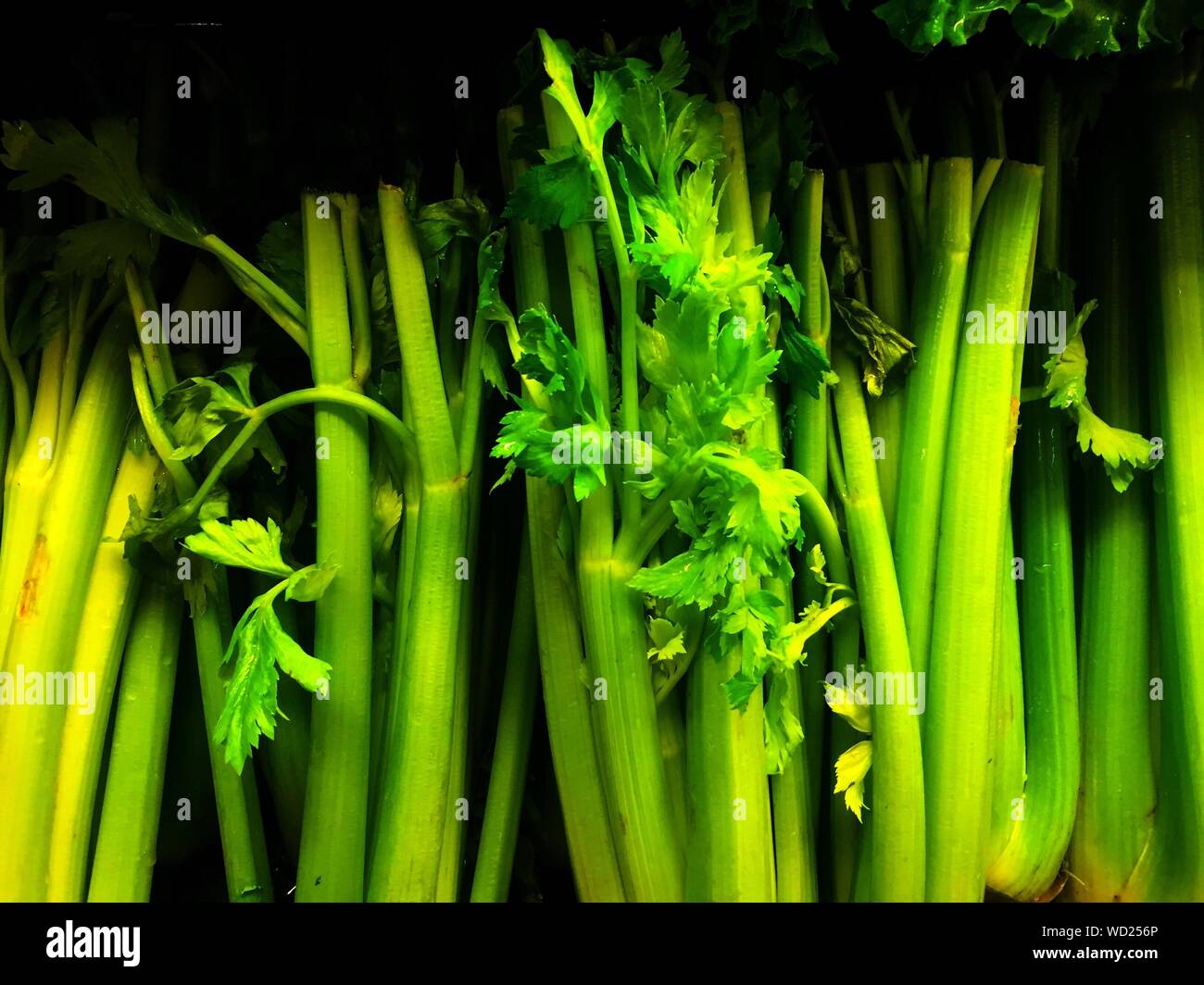 Close-up di verdura verde Foto Stock