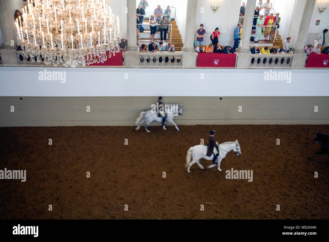 Sessione di prove della scuola di equitazione spagnola (Spanische Reitschule) a Vienna Austria Foto Stock
