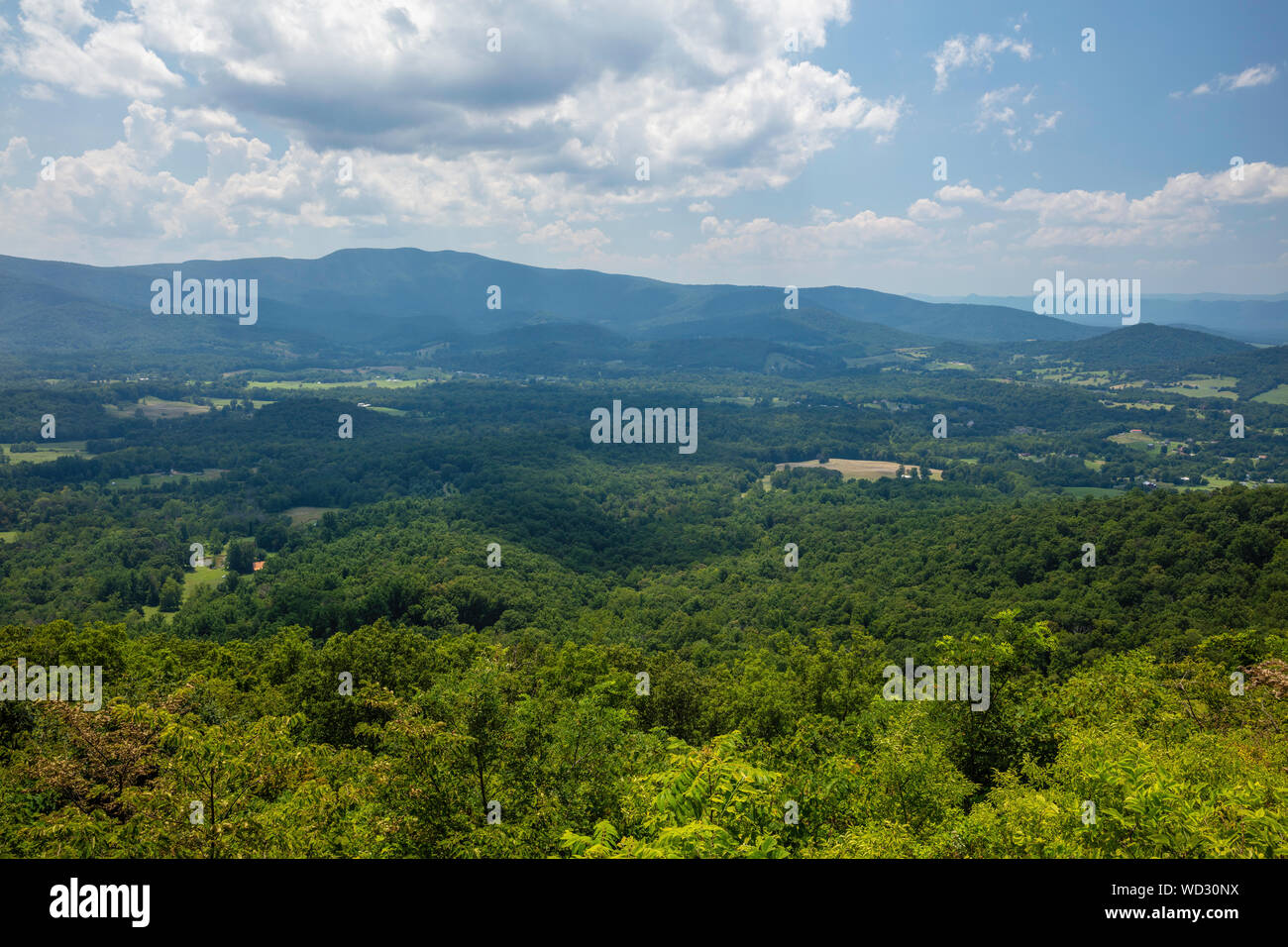 Shenandoah Valley da Gooney Manor si affacciano in estate, il Parco Nazionale di Shenandoah, Virginia Foto Stock