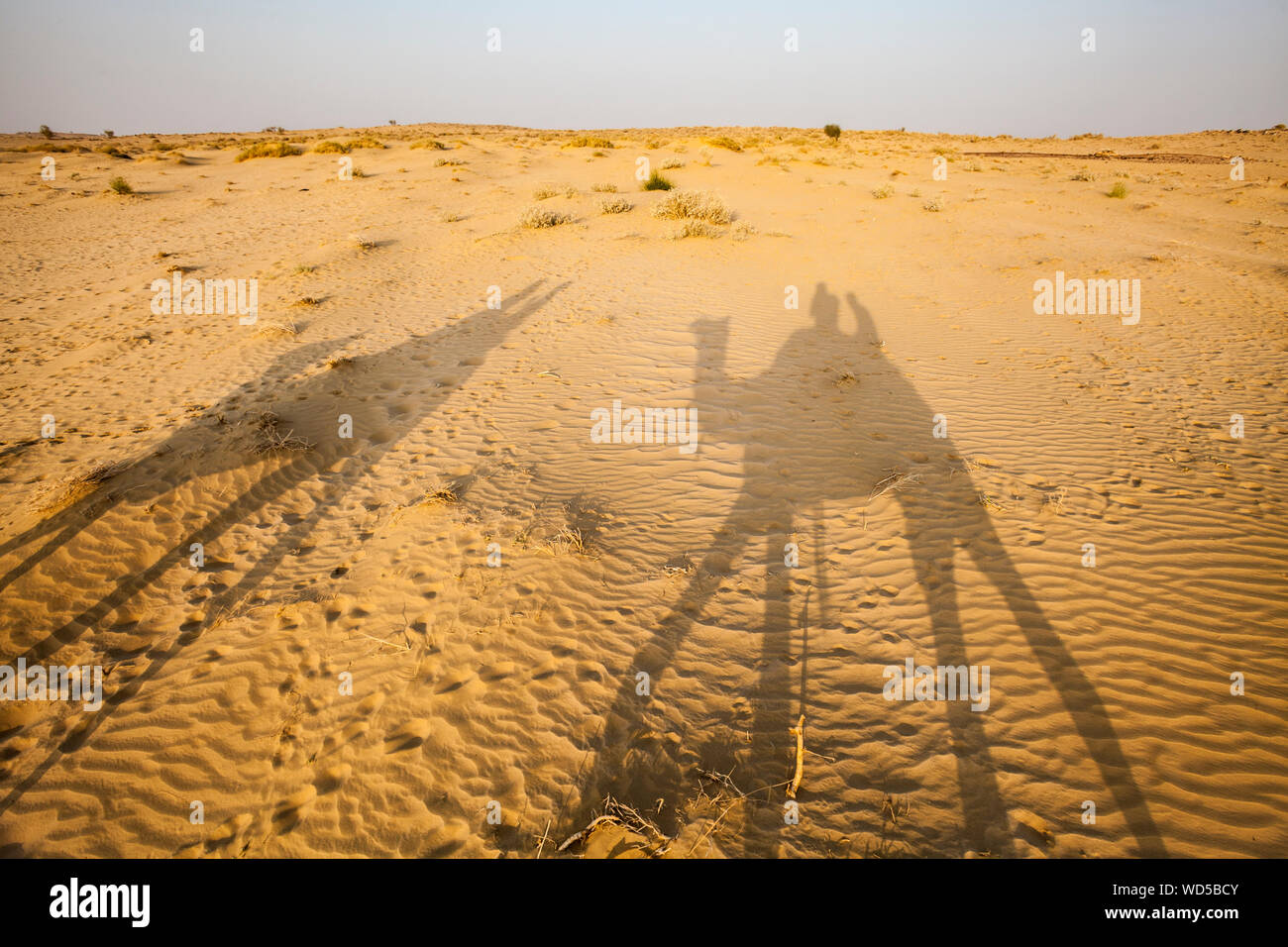 L ombra di un uomo a dorso di un cammello e scattare una foto della sua ombra sul deserto arido terreno. Deserto di Thar, Rajashan, India. Foto Stock