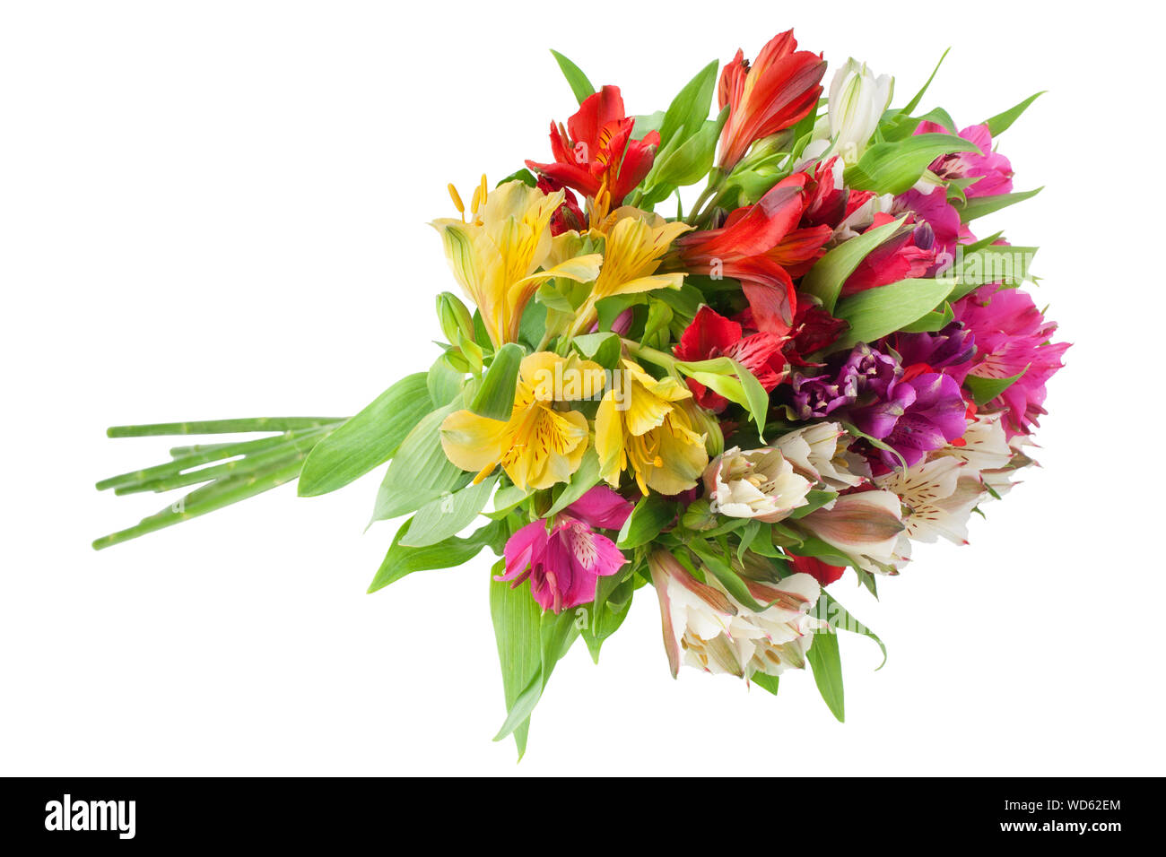 Alstroemeria variopinti fiori bouquet rotondo su sfondo bianco isolato closeup, Lily bouchet per poster vacanze elemento decorativo Foto Stock