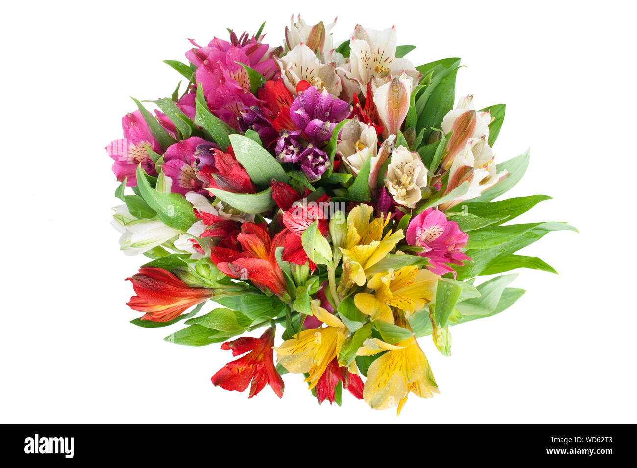 Alstroemeria variopinti fiori bouquet rotondo su sfondo bianco isolato closeup, Lily bouchet per poster vacanze elemento decorativo Foto Stock