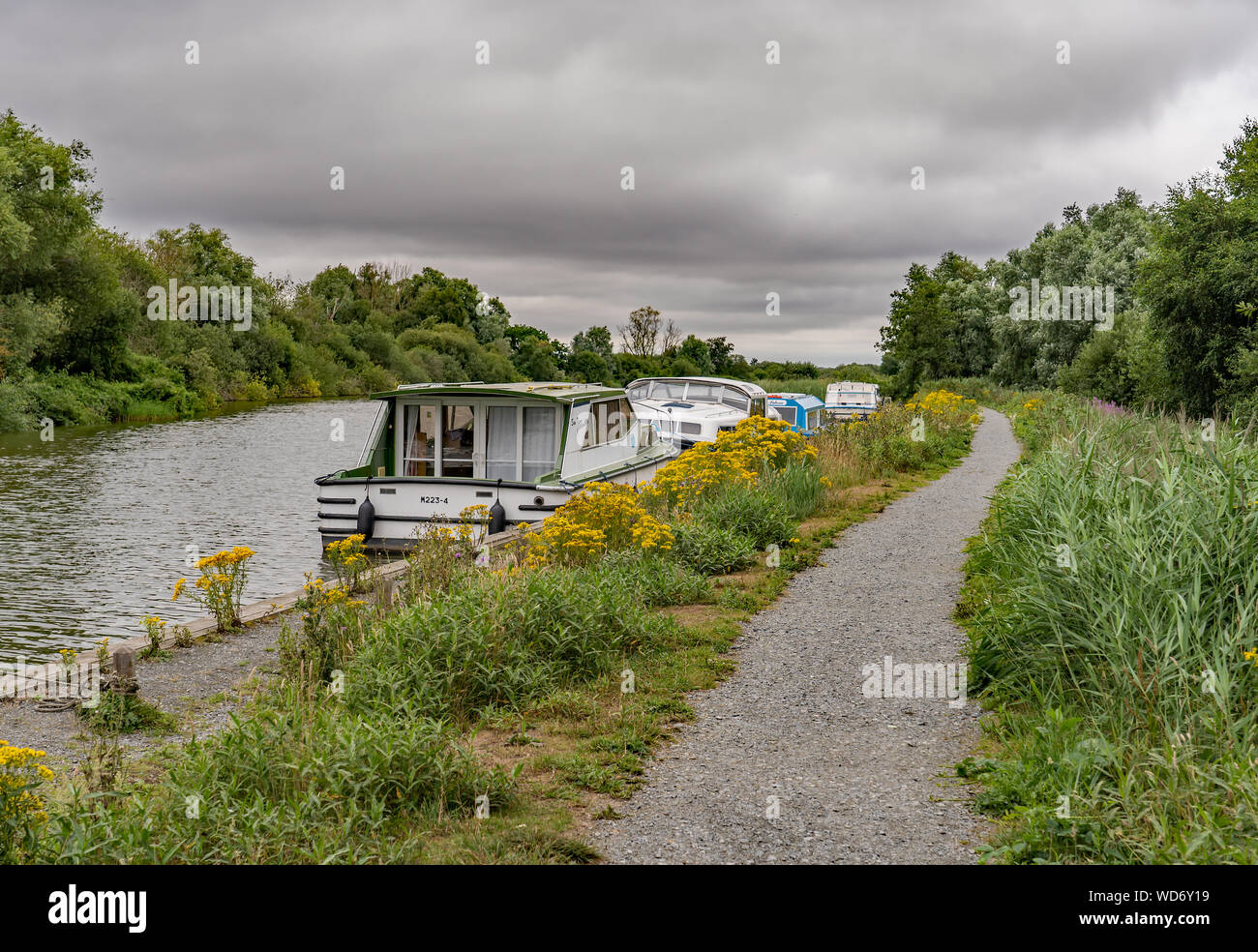 Holiday barche ormeggiate fino in flotta Dyke, un tratto del fiume Bure sul Norfolk Broads in Sud Walsham Foto Stock