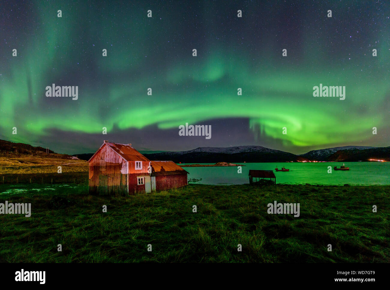 Luce polare, Northern Light aurora boreale, Kvaloyvagen, Norvegia, Oceano Atlantico Foto Stock