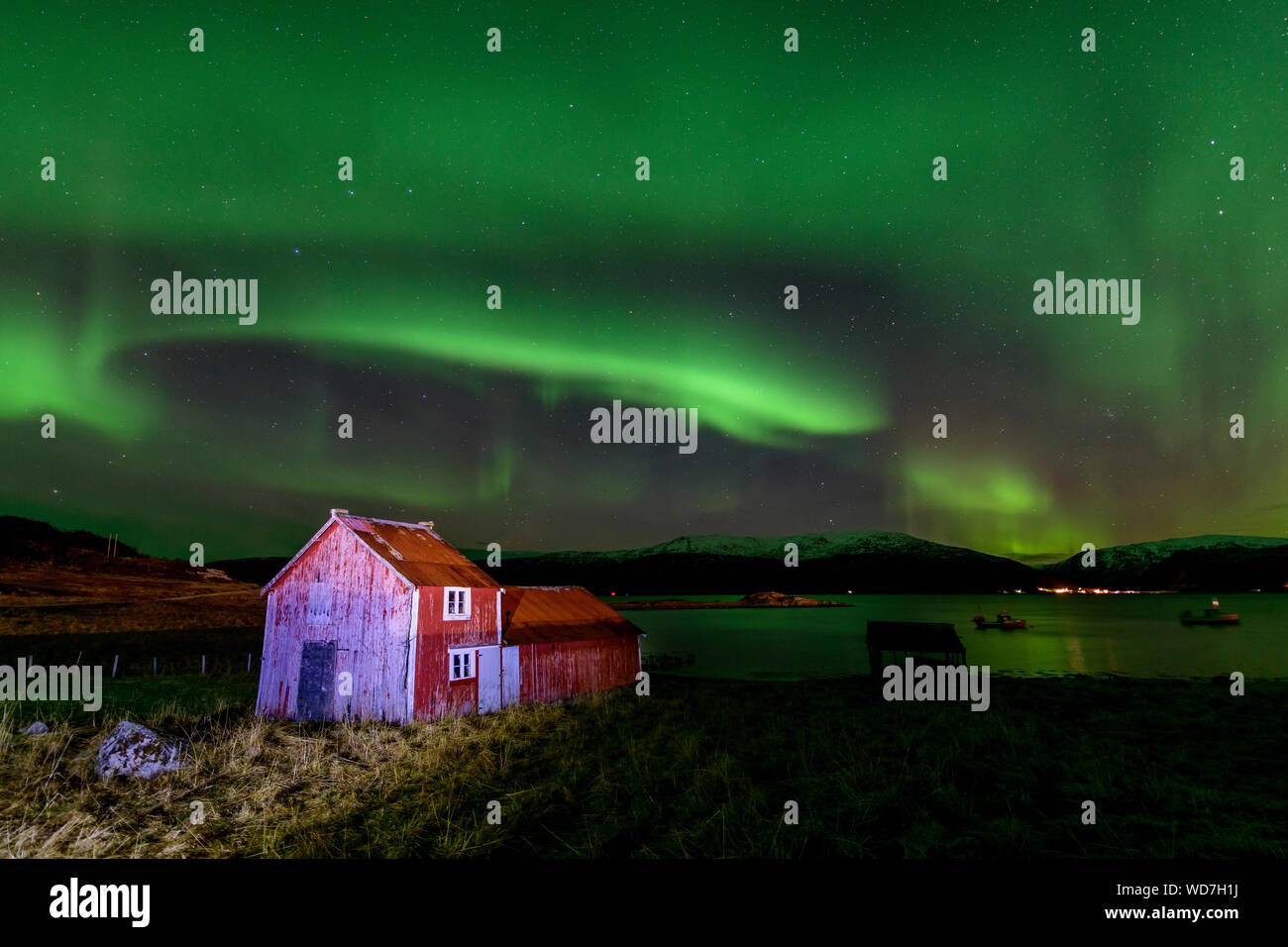 Luce polare, Northern Light aurora boreale, Kvaloyvagen, Norvegia, Oceano Atlantico Foto Stock