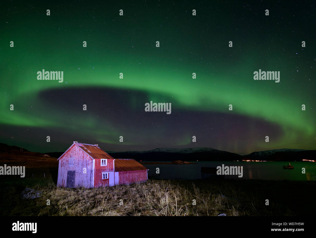 Luce polare, Northern Light aurora boreale, Kvaloyvagen, Norvegia, Oceano Atlantico Foto Stock