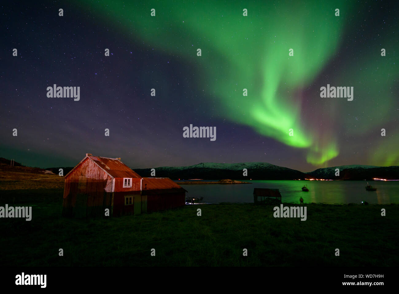 Luce polare, Northern Light aurora boreale, Kvaloyvagen, Norvegia, Oceano Atlantico Foto Stock