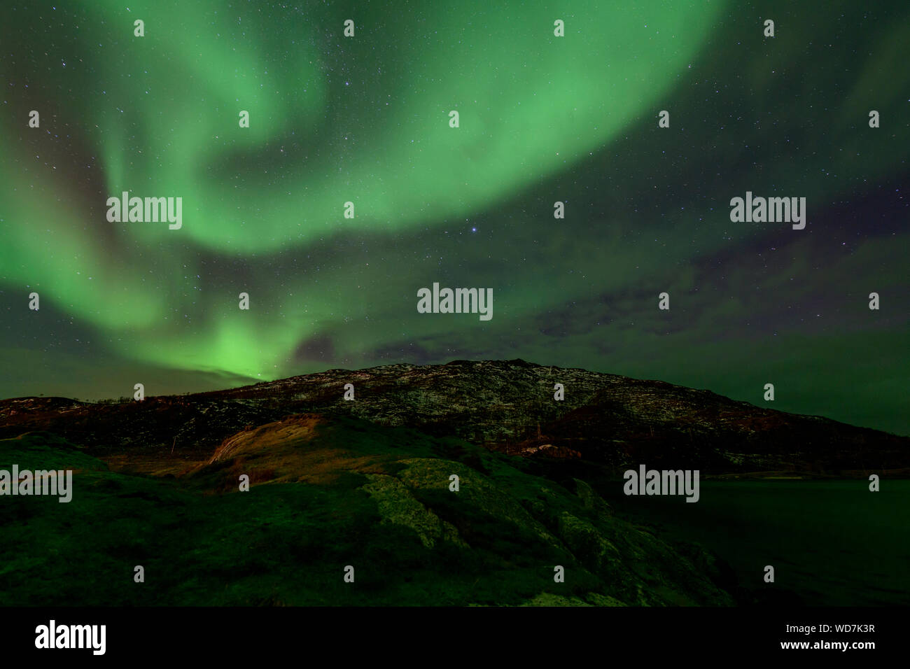 Luce polare, Northern Light aurora boreale, Kvaloyvagen, Norvegia, Oceano Atlantico Foto Stock