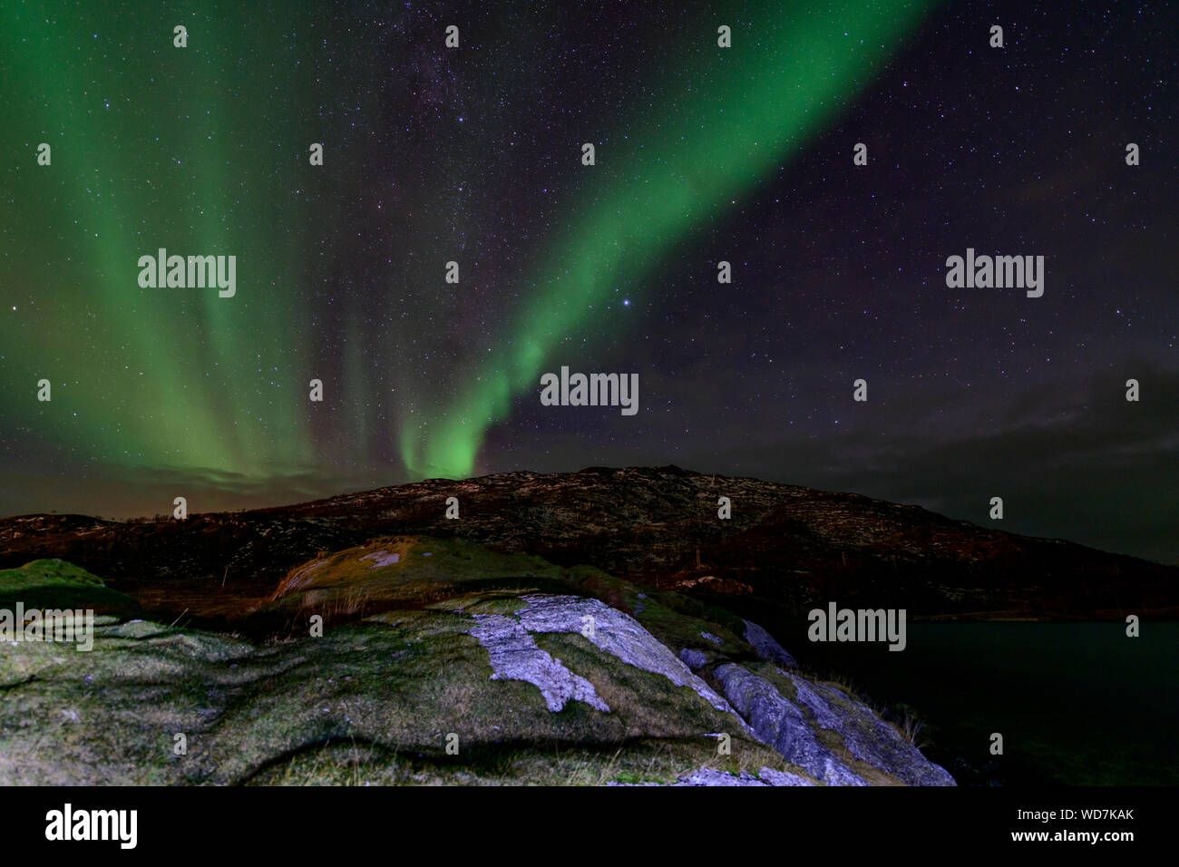 Luce polare, Northern Light aurora boreale, Kvaloyvagen, Norvegia, Oceano Atlantico Foto Stock