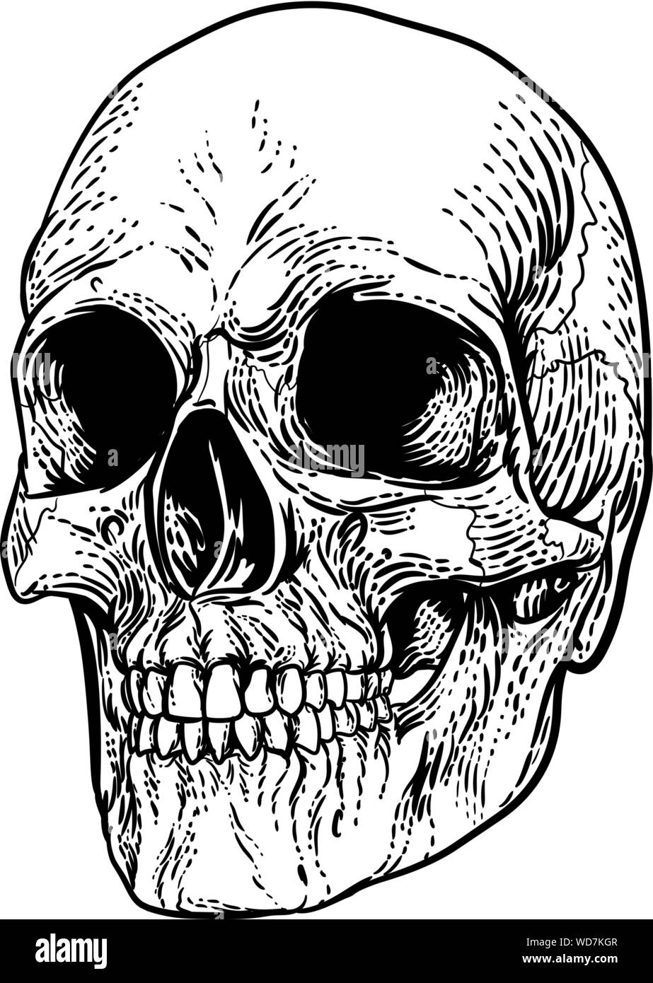 Cranio Grim Reaper Vintage xilografia illustrazione Illustrazione Vettoriale