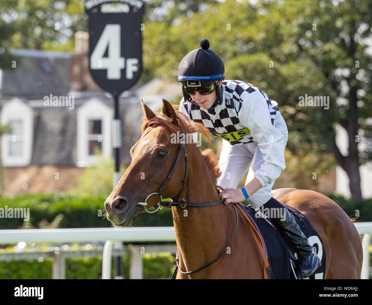 Jockey Nathan Evans sulla crisi economica prima dell' inizio della 'Dorothea Hawthorne Memorial' handicap, Musselburgh Racecourse, 28 agosto 2019. Foto Stock