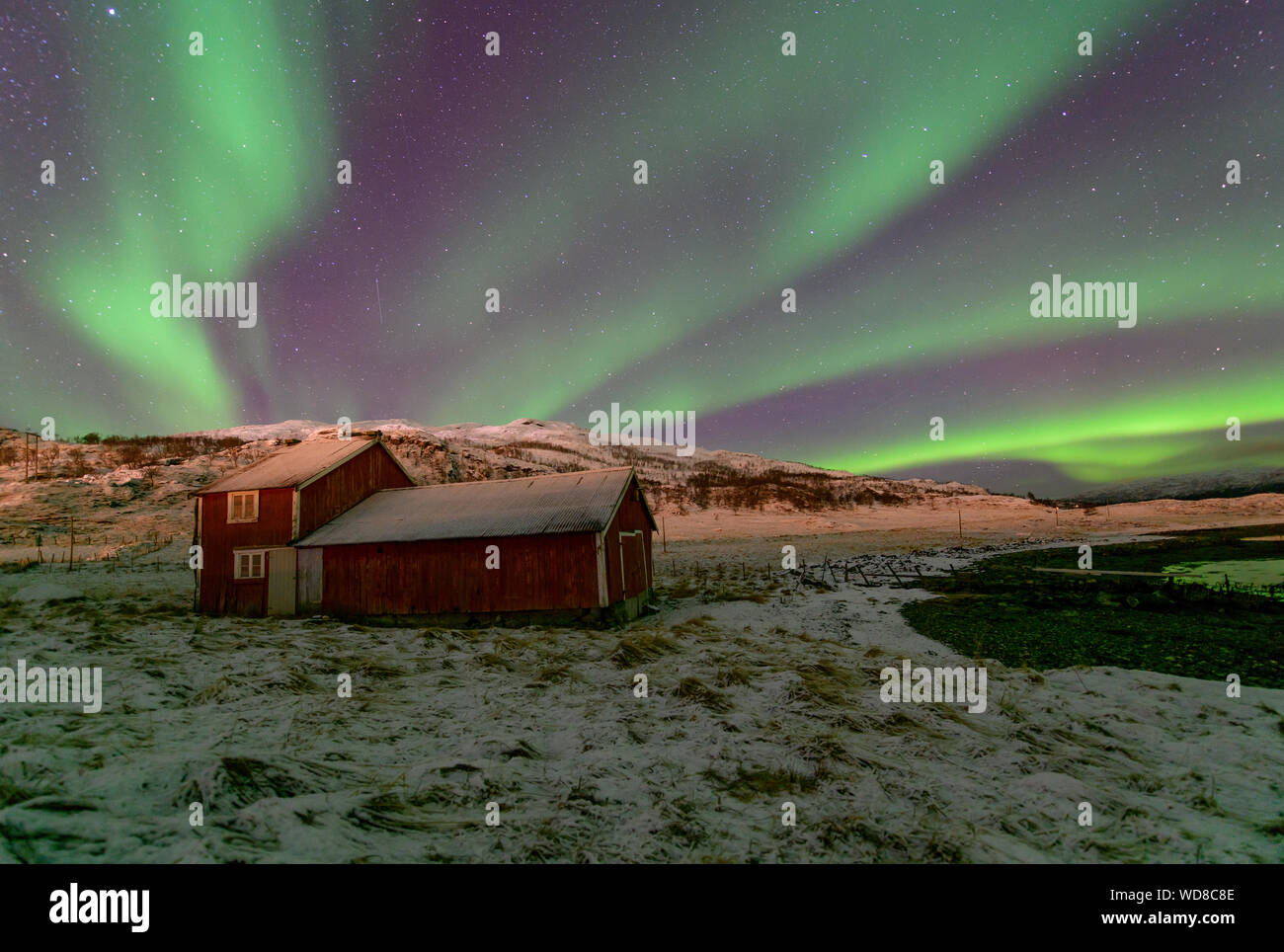 Luce polare, Northern Light aurora boreale, Kvaloyvagen, Norvegia, Oceano Atlantico Foto Stock