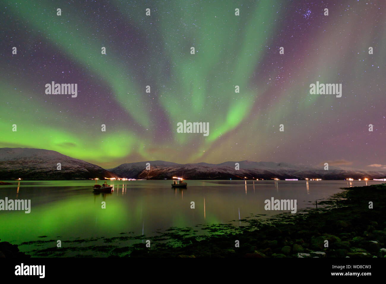 Luce polare, Northern Light aurora boreale, Kvaloyvagen, Norvegia, Oceano Atlantico Foto Stock