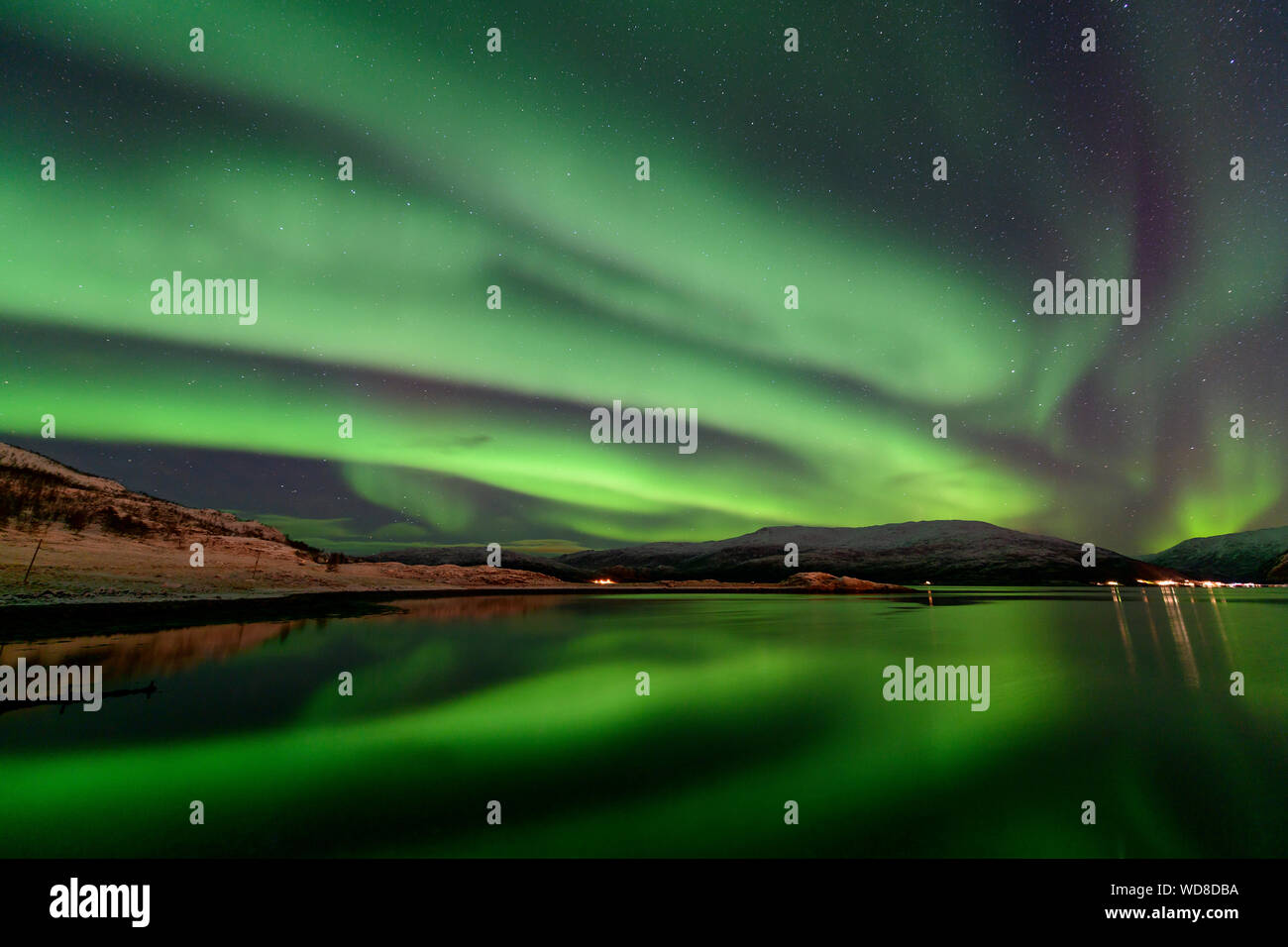 Luce polare, Northern Light aurora boreale, Kvaloyvagen, Norvegia, Oceano Atlantico Foto Stock