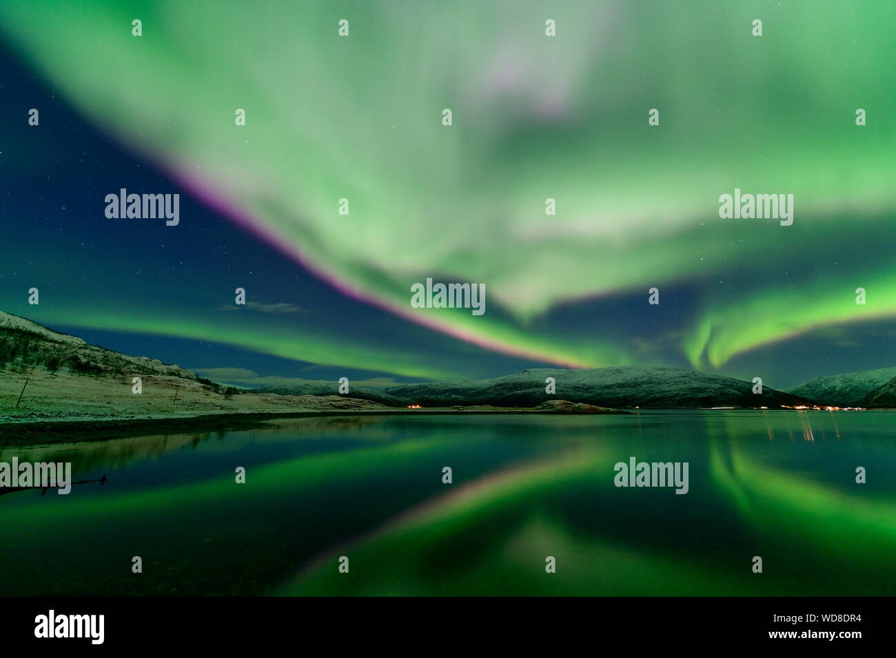 Luce polare, Northern Light aurora boreale, Kvaloyvagen, Norvegia, Oceano Atlantico Foto Stock