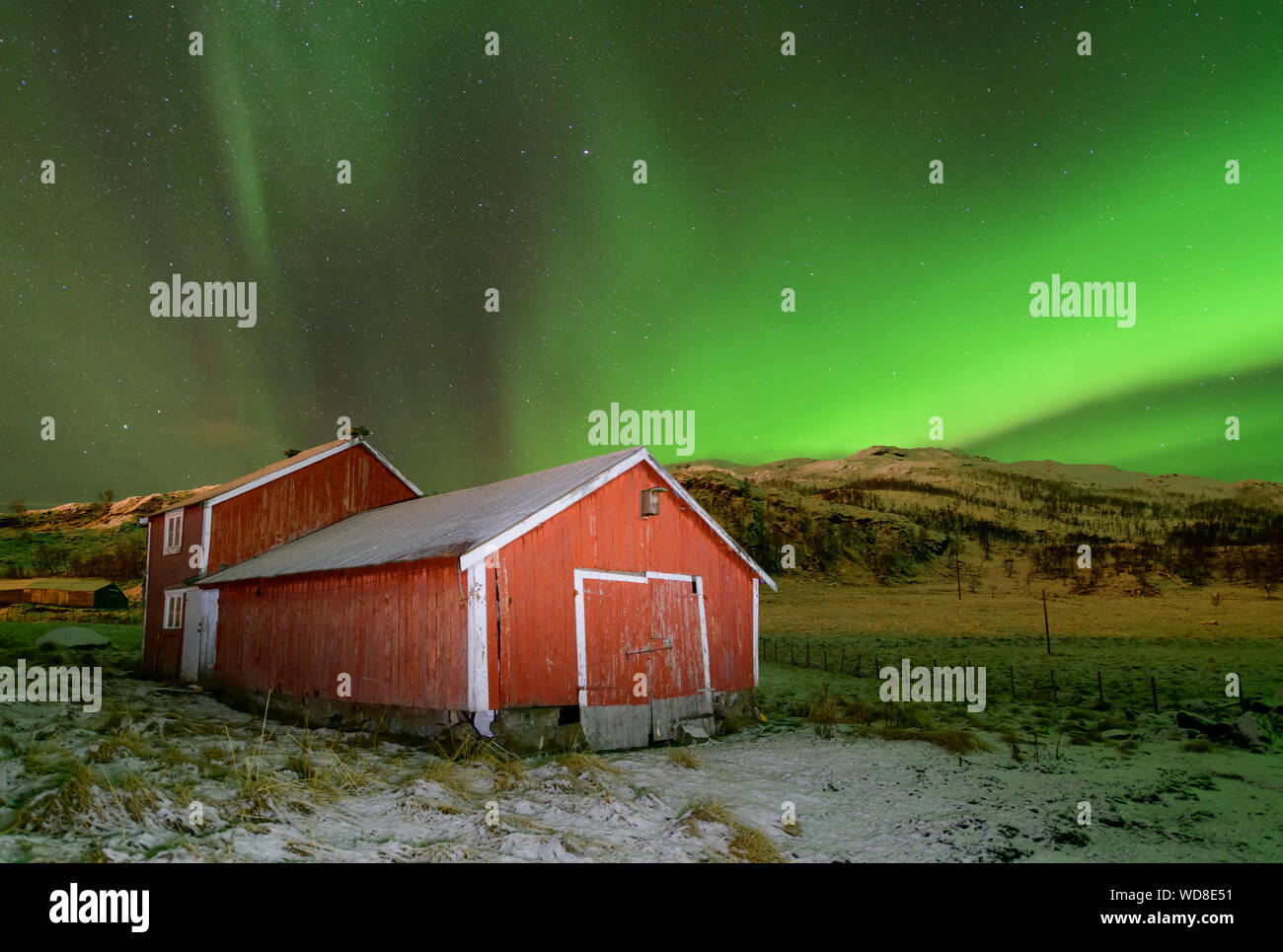 Luce polare, Northern Light aurora boreale, Kvaloyvagen, Norvegia, Oceano Atlantico Foto Stock