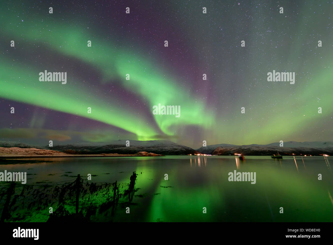Luce polare, Northern Light aurora boreale, Kvaloyvagen, Norvegia, Oceano Atlantico Foto Stock