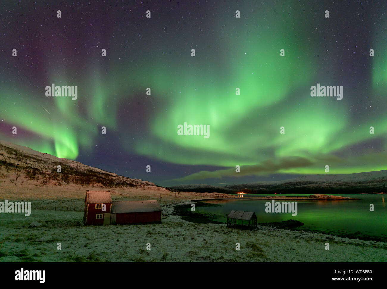 Luce polare, Northern Light aurora boreale, Kvaloyvagen, Norvegia, Oceano Atlantico Foto Stock