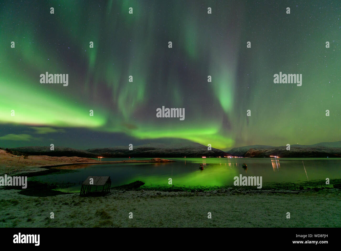 Luce polare, Northern Light aurora boreale, Kvaloyvagen, Norvegia, Oceano Atlantico Foto Stock