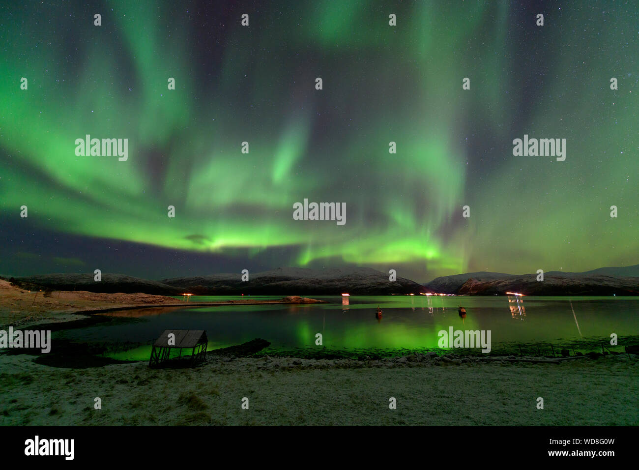 Luce polare, Northern Light aurora boreale, Kvaloyvagen, Norvegia, Oceano Atlantico Foto Stock