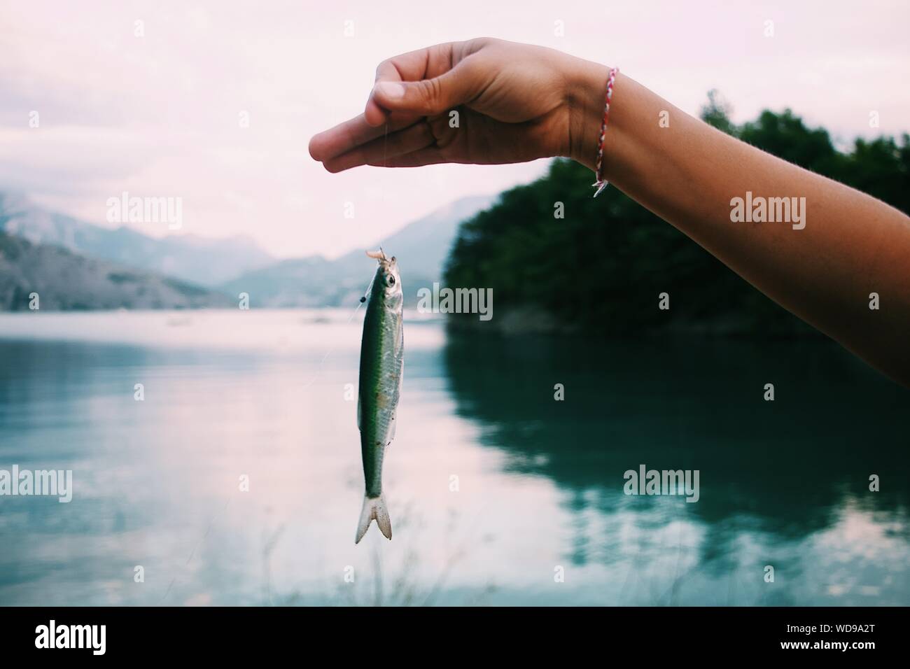 colpo di primo piano di una persona che tiene un piccolo pesce appeso da un gancio sullo sfondo di un lago Foto Stock