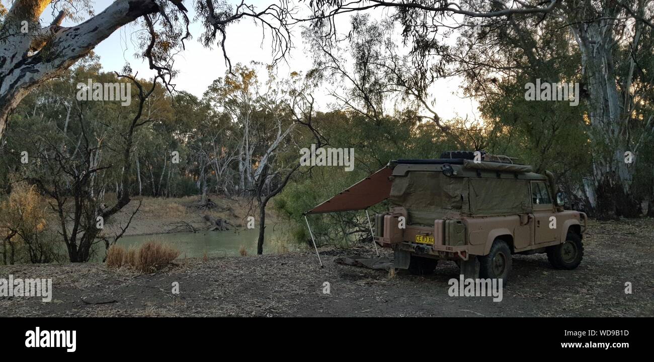 Fiume Murrumbidgee vicino a Maude sulla Hay Plain, nel sud-ovest del nuovo Galles del Sud Foto Stock