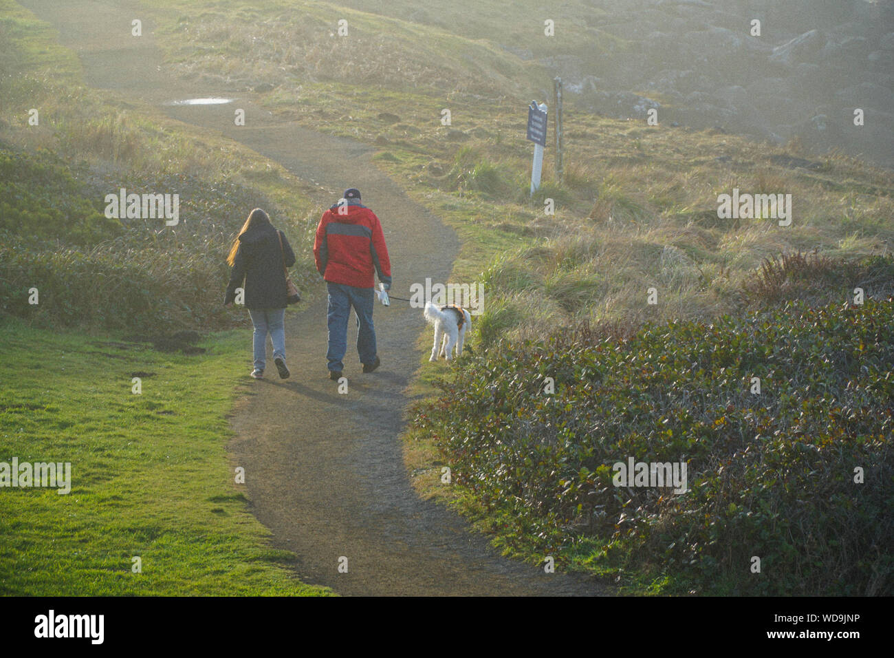 Vista posteriore del giovane passeggiate con il cane sul sentiero in mezzo al campo al centro di Oregon Foto Stock