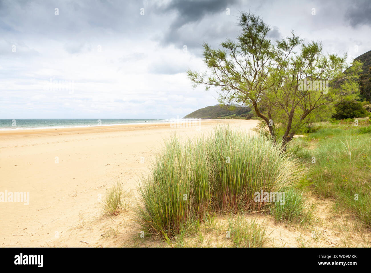 Trengandin spiaggia vicino a Noja village, Cantabria, SPAGNA Foto Stock