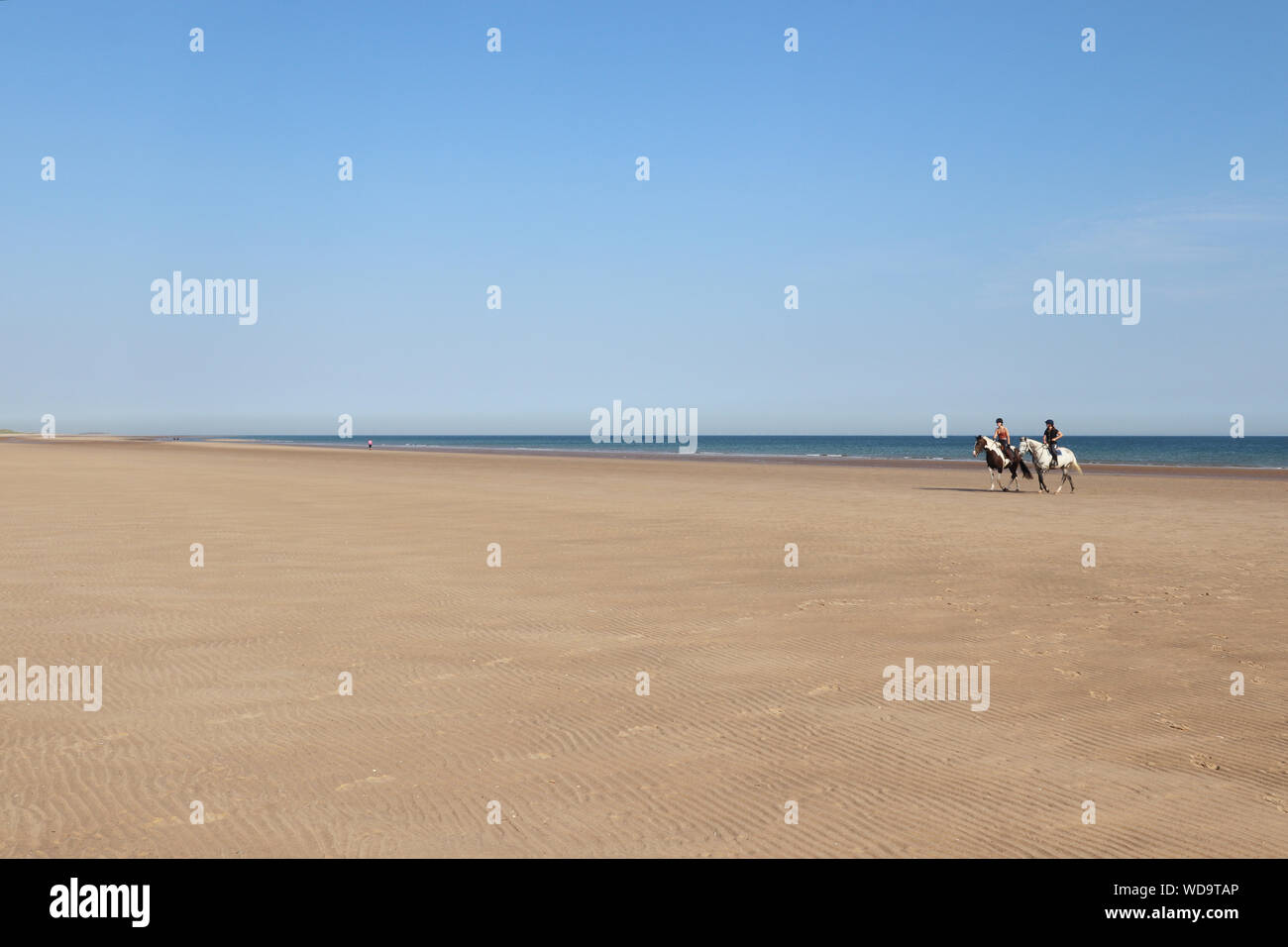 Una giornata di sole sulla spiaggia di Holkham, con il litorale e la spiaggia in vista. L'azzurro del cielo Foto Stock