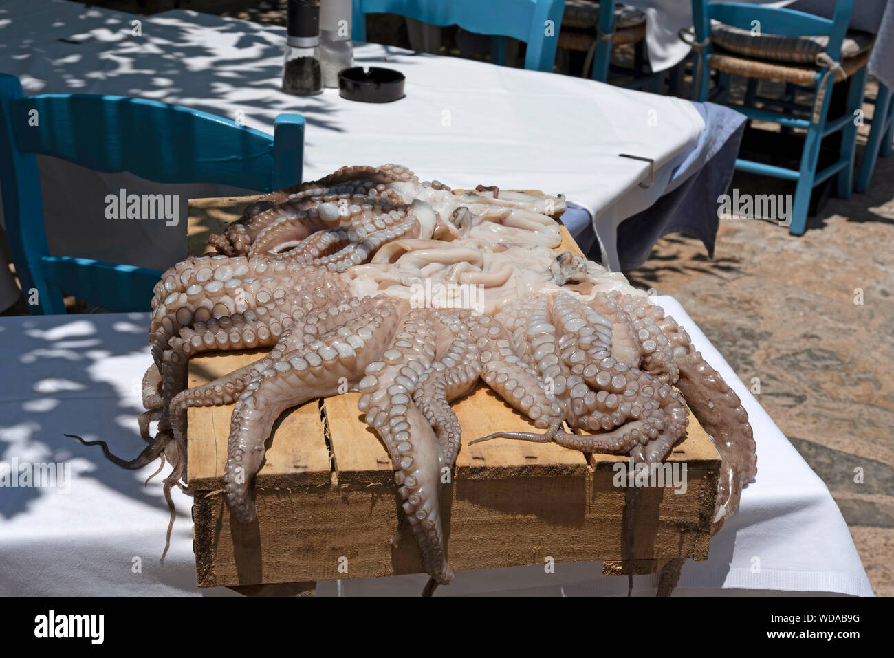 Creta, Grecia. Giugno 2019. Un grande polpo su una scatola di legno di essiccazione al sole in un ristorante cretese. Foto Stock