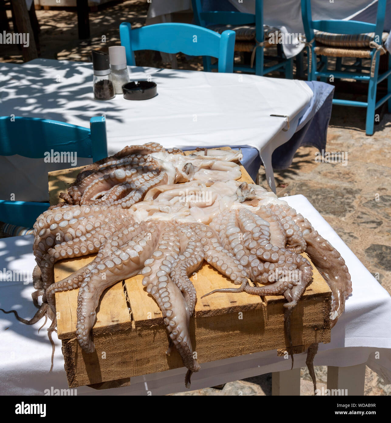 Creta, Grecia. Giugno 2019. Un grande polpo su una scatola di legno di essiccazione al sole in un ristorante cretese. Foto Stock