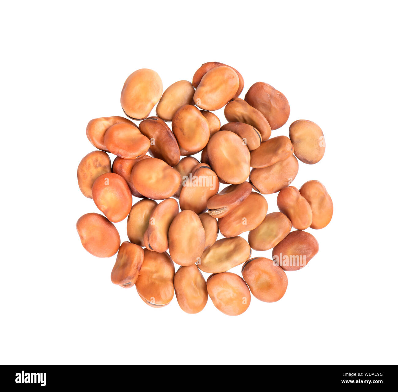 Le fave secche sbucciate isolati su sfondo bianco. Fava. Vista dall'alto. Foto Stock