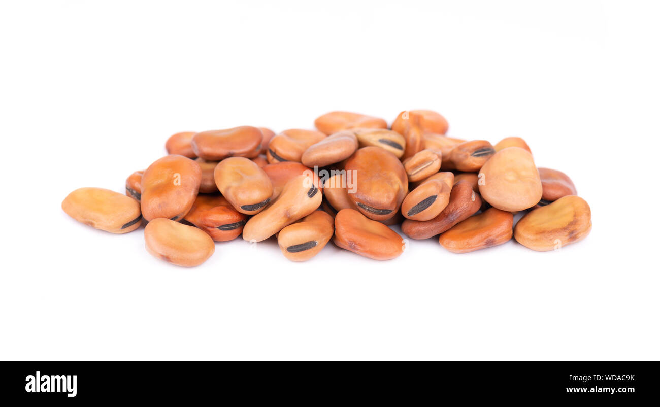 Le fave secche sbucciate isolati su sfondo bianco. Fava. Foto Stock
