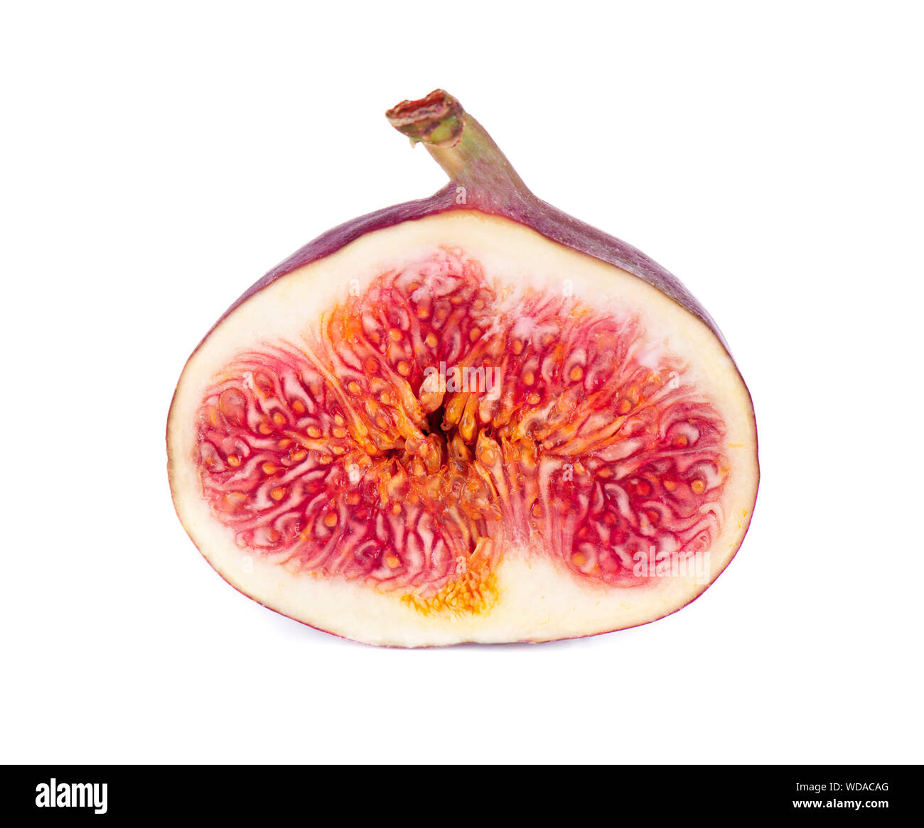 Viola fresca fig frutto isolato su sfondo bianco. Mature frutta fig. Foto Stock