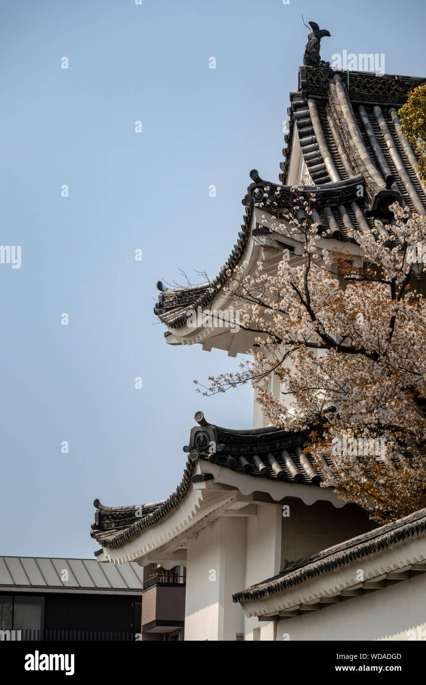 La decorazione del tetto degli edifici del Castello di Nijo / Palazzo Ninomaru, Kyoto, Giappone. Foto Stock