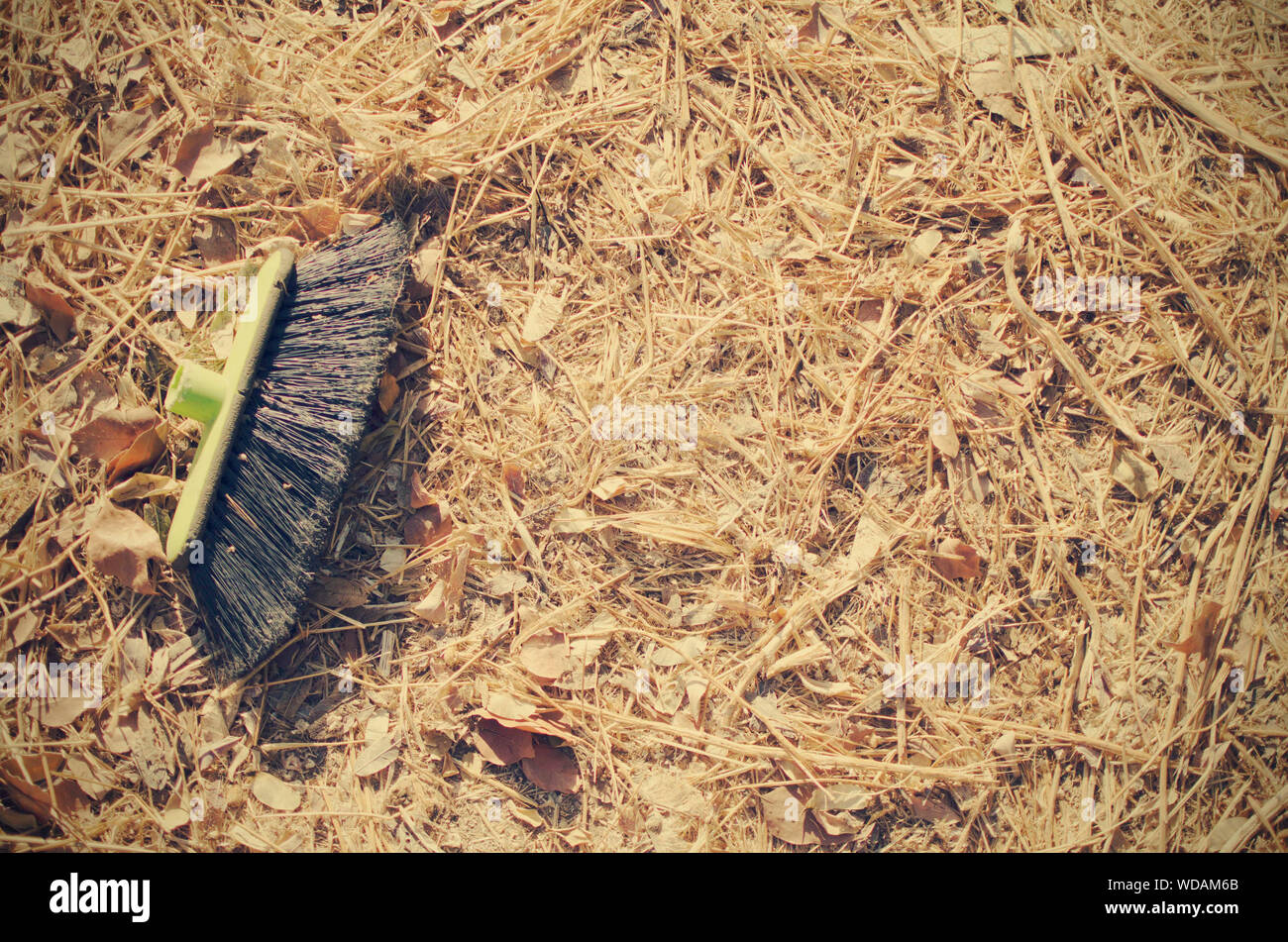 Una plastica spazzola scopa sdraiato sul pavimento esterno (accanto a un contenitore) Foto Stock