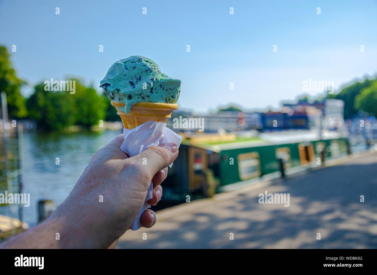Un maschio di mano che tiene un cono di menta e di choc chip gelato Foto Stock