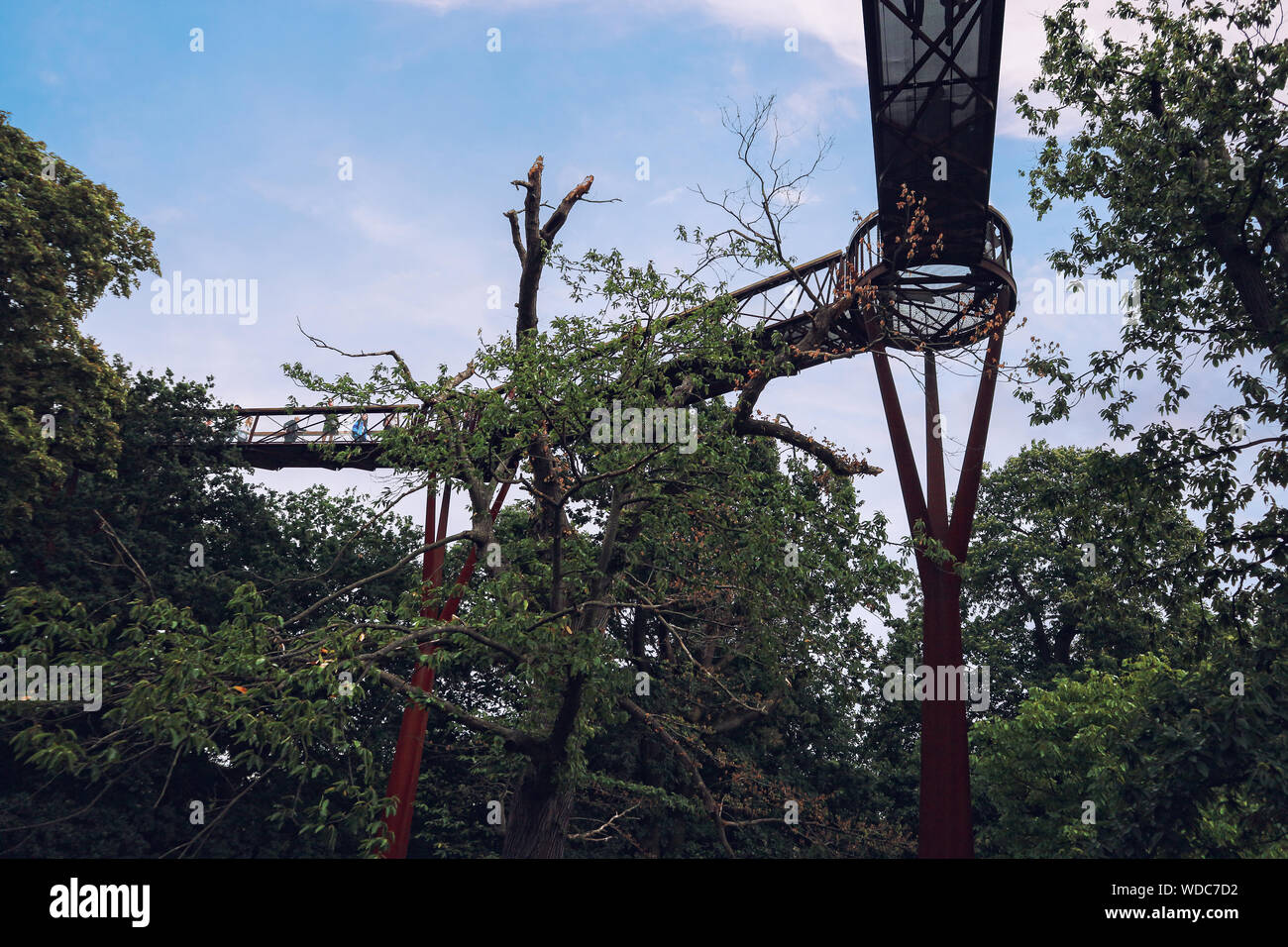 I Giardini di Kew treetop marciapiede Foto Stock