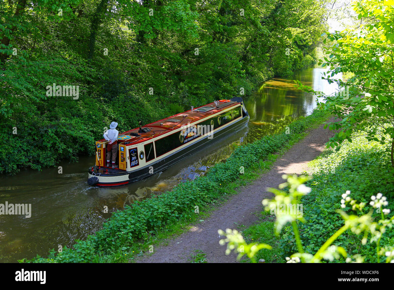 Una stretta barca o chiatta sul ramo a Macclesfield del Trent e Mersey Canal, studioso verde, Cheshire, Inghilterra, Regno Unito Foto Stock