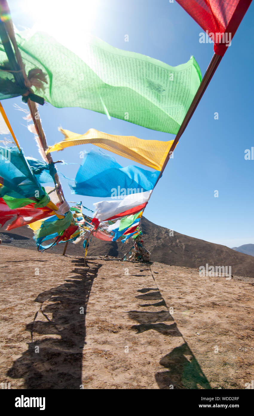 Il Tibetano, bandiere da preghiera buddista in Himalaya. Foto Stock