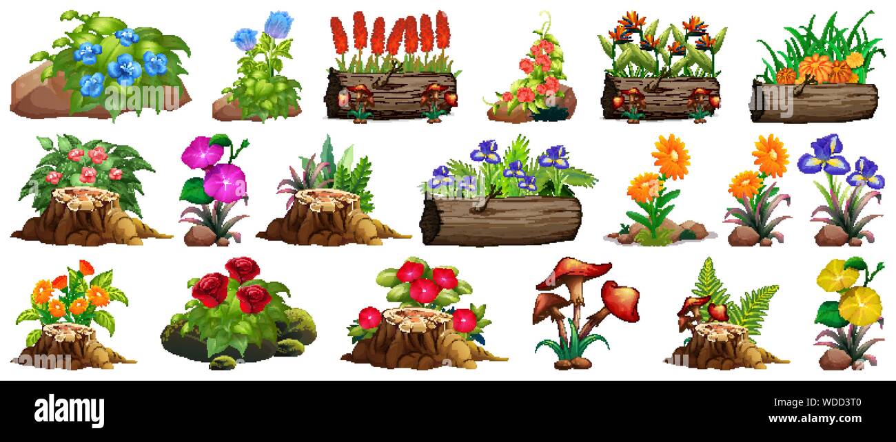 Grande insieme di fiori colorati su rocce e illustrazione di legno Illustrazione Vettoriale