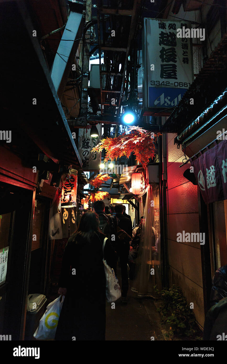 Small Alley con ristoranti vicino a Shinjuku, centro di Tokyo. Foto Stock