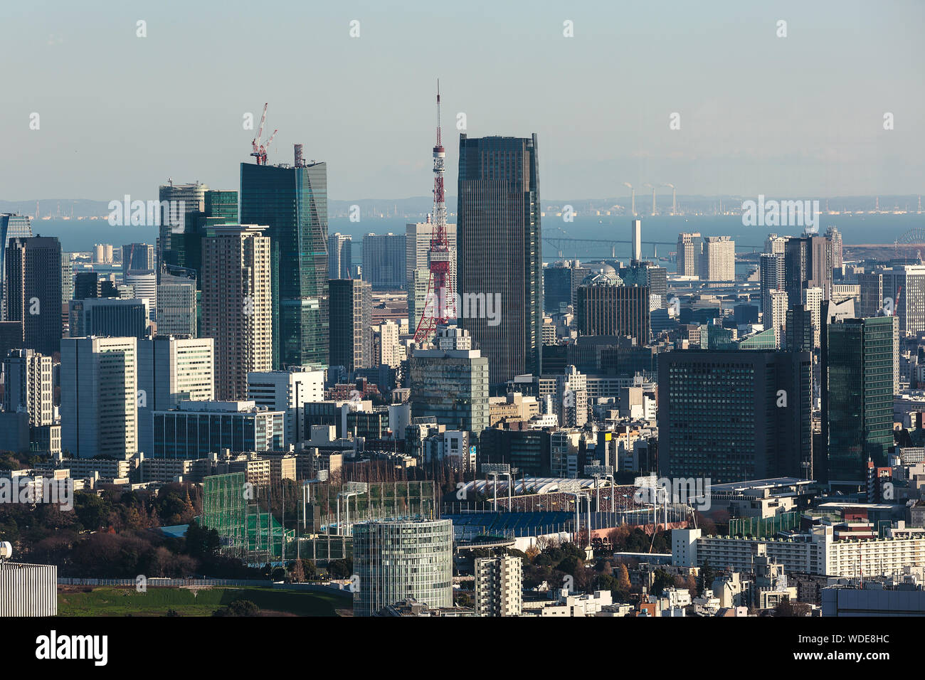 Aerial cityscape di Tokyo il centro cittadino e la torre di Tokyo. Foto Stock