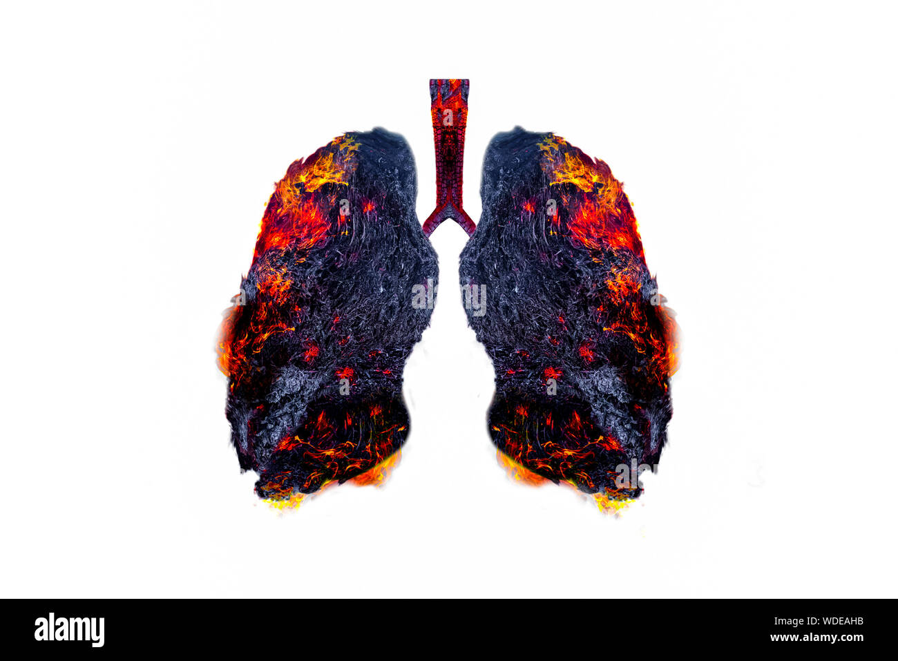Polmone verde a forma di albero di immagini, concetti medici, autopsia, visualizzazione 3D e animali come un elemento Foto Stock