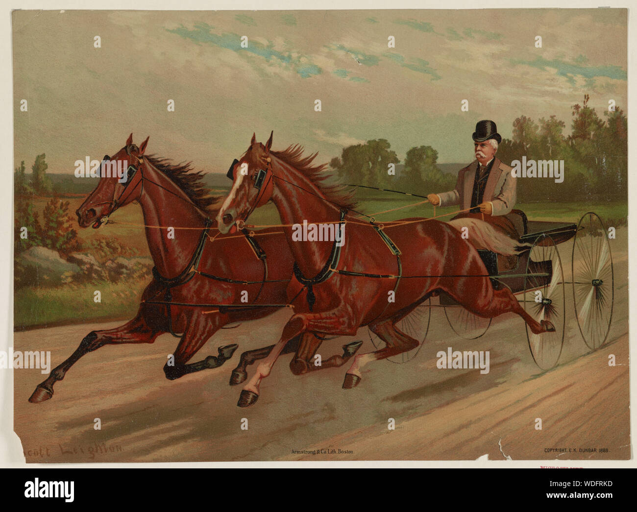 Gentleman nel carrello rivolto verso sinistra Foto Stock