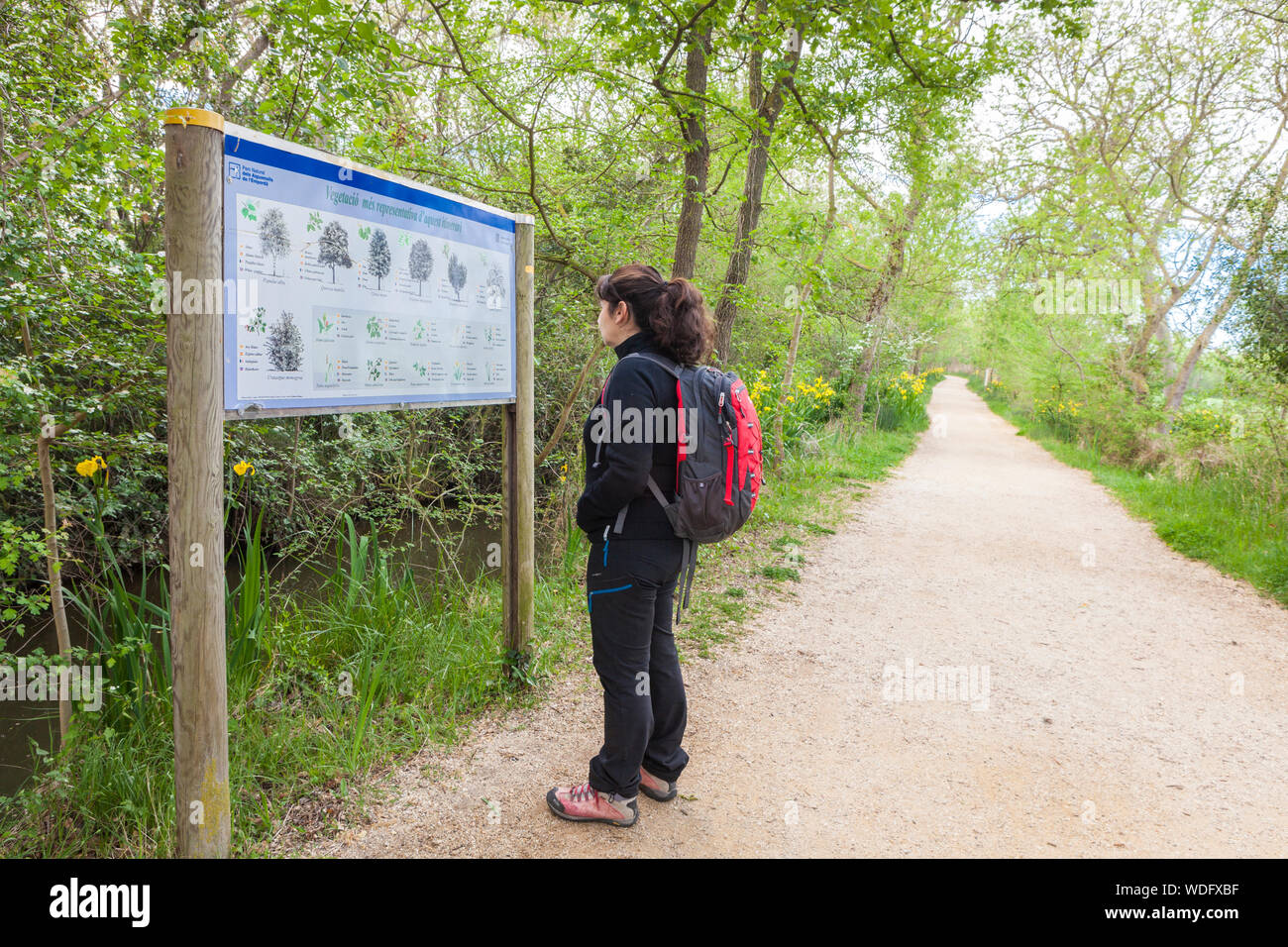 Passeggiate nel Parco Naturale di Aiguamolls de l'Emporda, Girona, Spagna Foto Stock