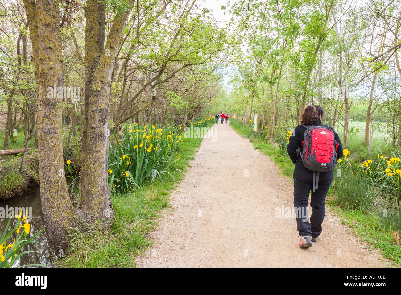 Passeggiate nel Parco Naturale di Aiguamolls de l'Emporda, Girona, Spagna Foto Stock