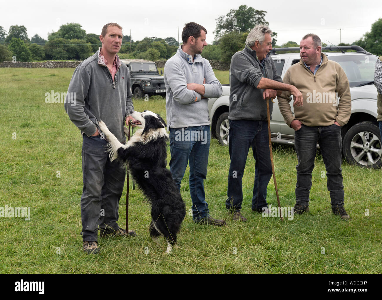 Mostra Gargrave Sheepdog Trials, Holme Farm Gargrave, North Yorkshire. I partecipanti guardano il sheepdog prove. Foto Stock